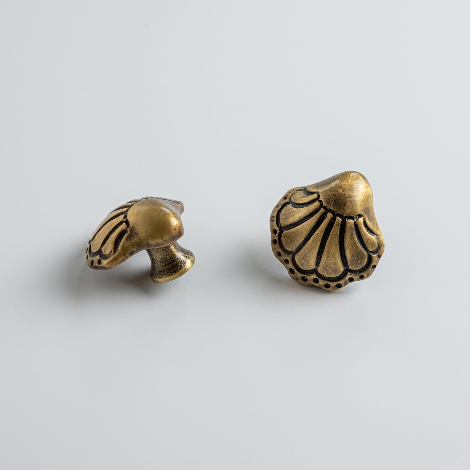 Chunky-shell-knob-antique-brass-set