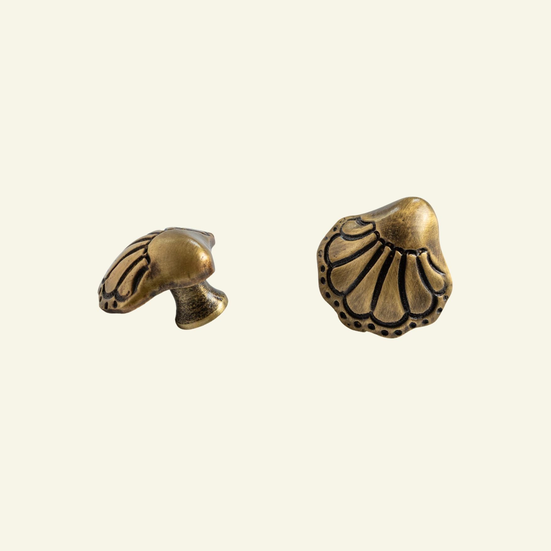Chunky-shell-knob-antique-no-background