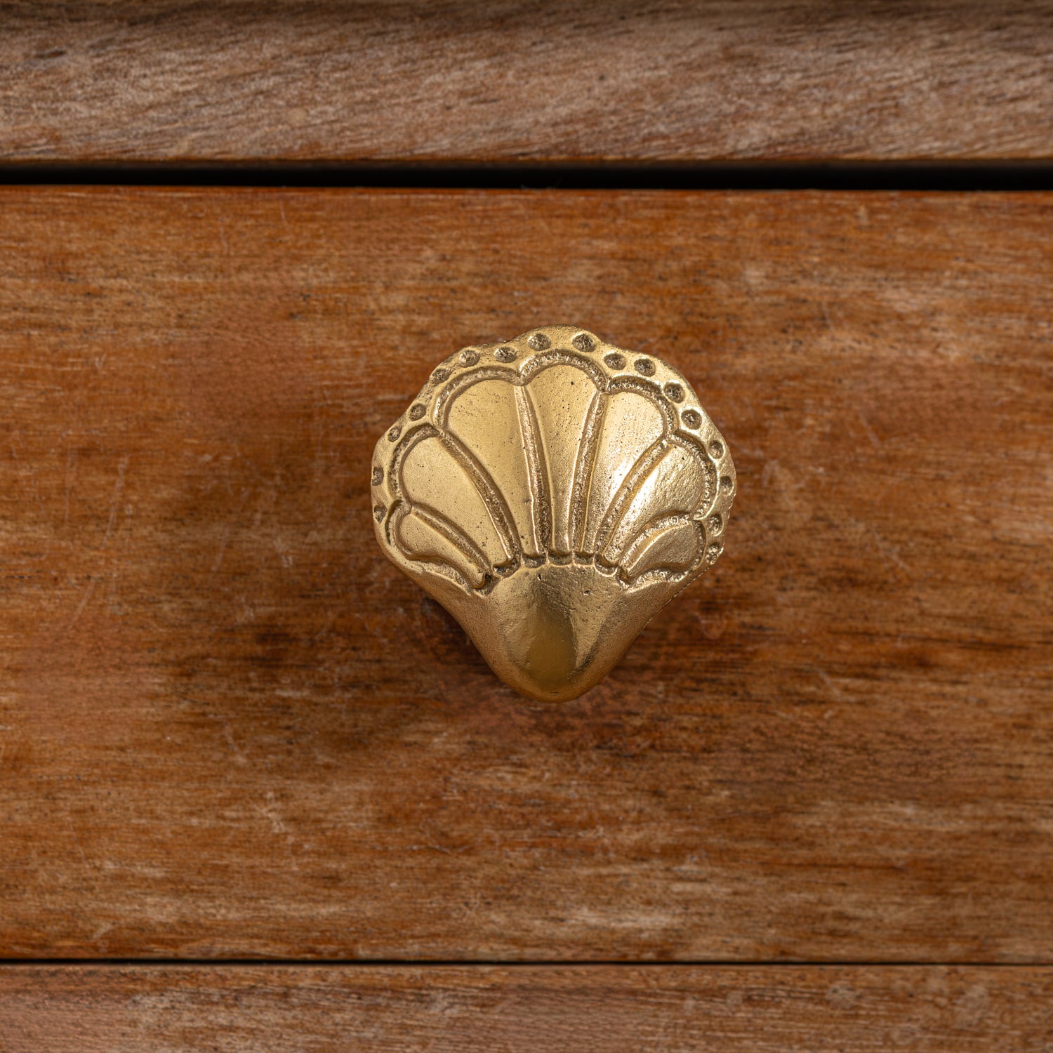 Chunky-shell-knob-lacquered-brass-close-up