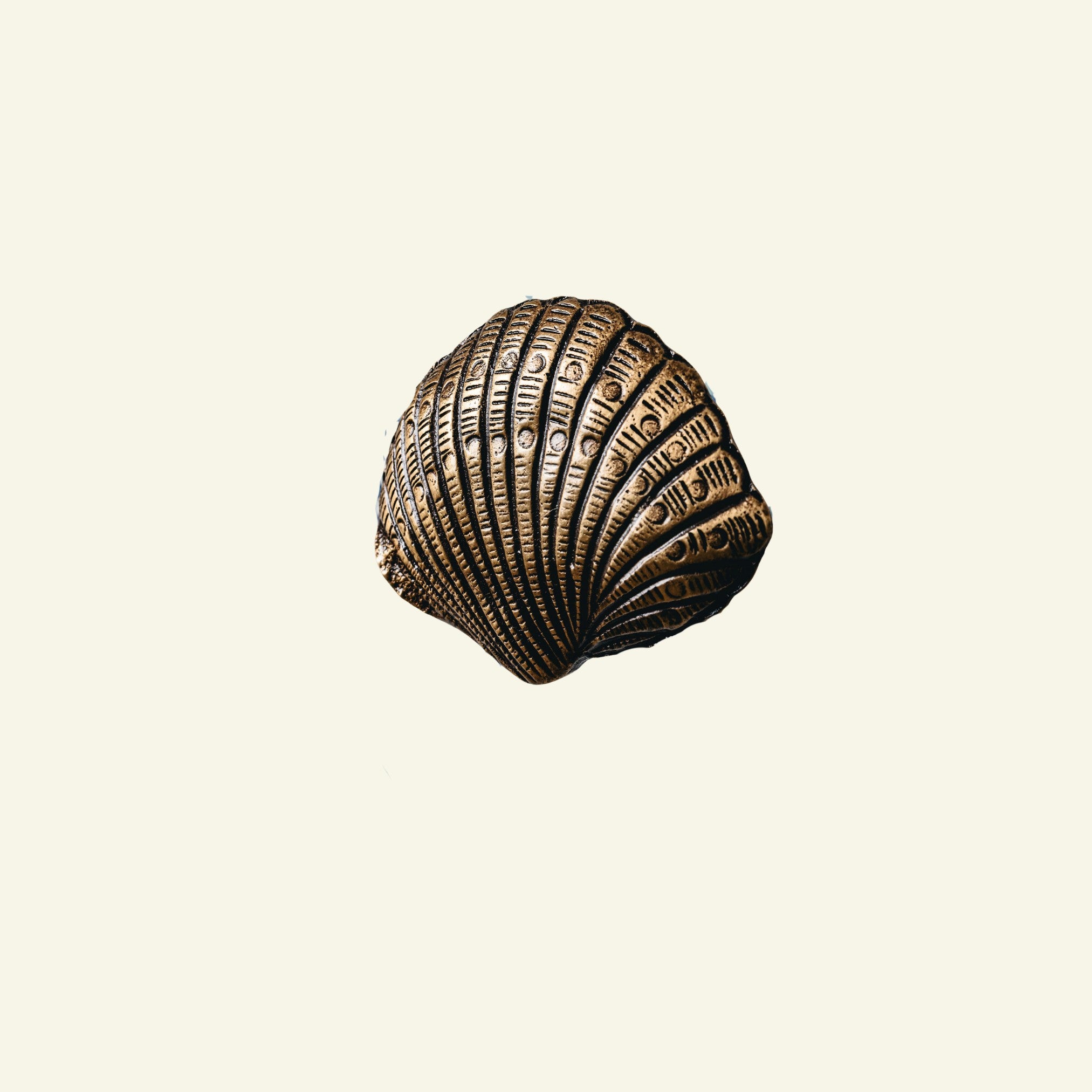 Bronze shell-shaped object on a beige background