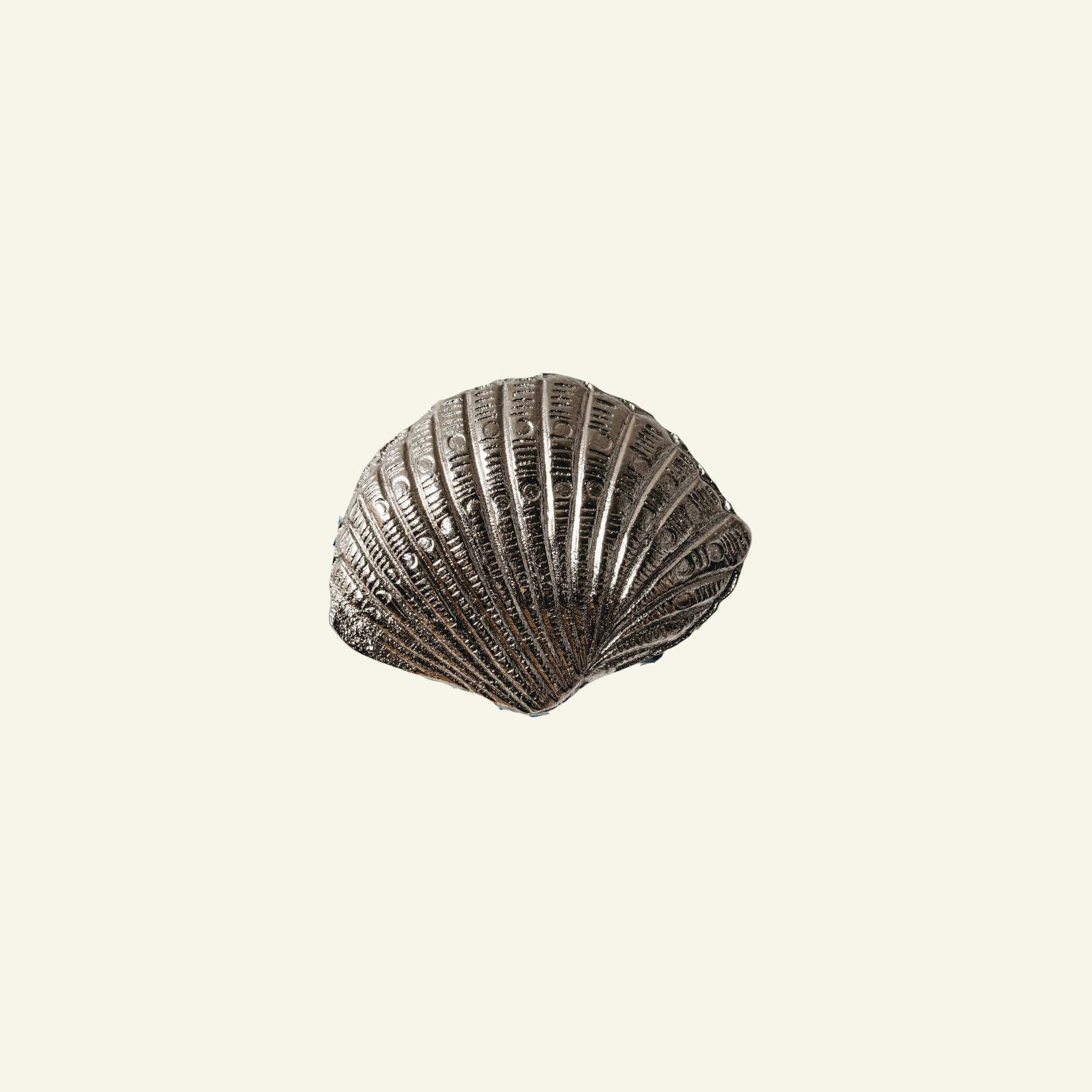 Metallic shell decorative item on a beige background