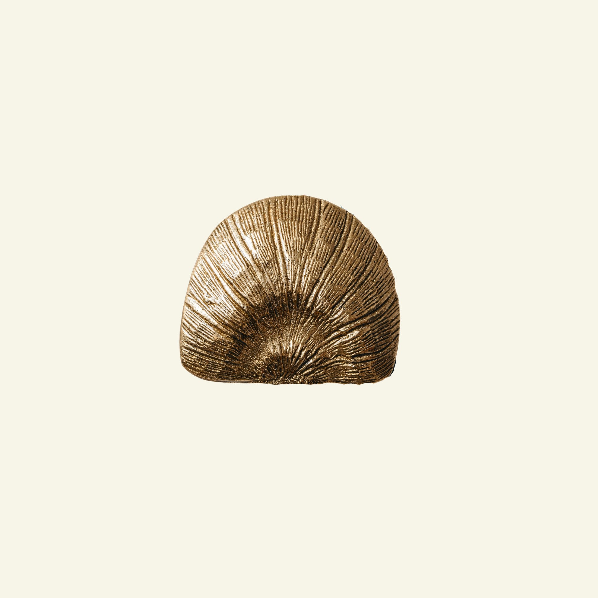 cove shell-shaped knob on a beige background