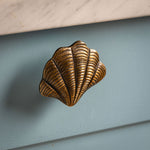 Curved-shell-knob-aged-brass-closeup