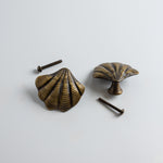 Curved-shell-knob-antique-brass