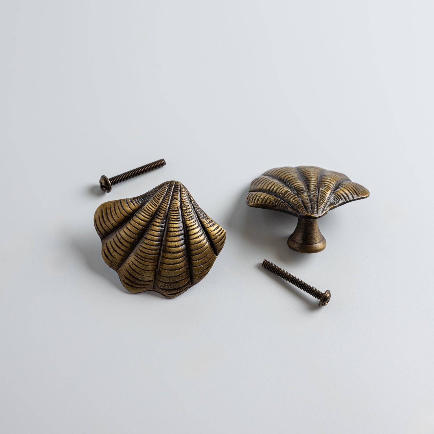 Curved-shell-knob-antique-brass