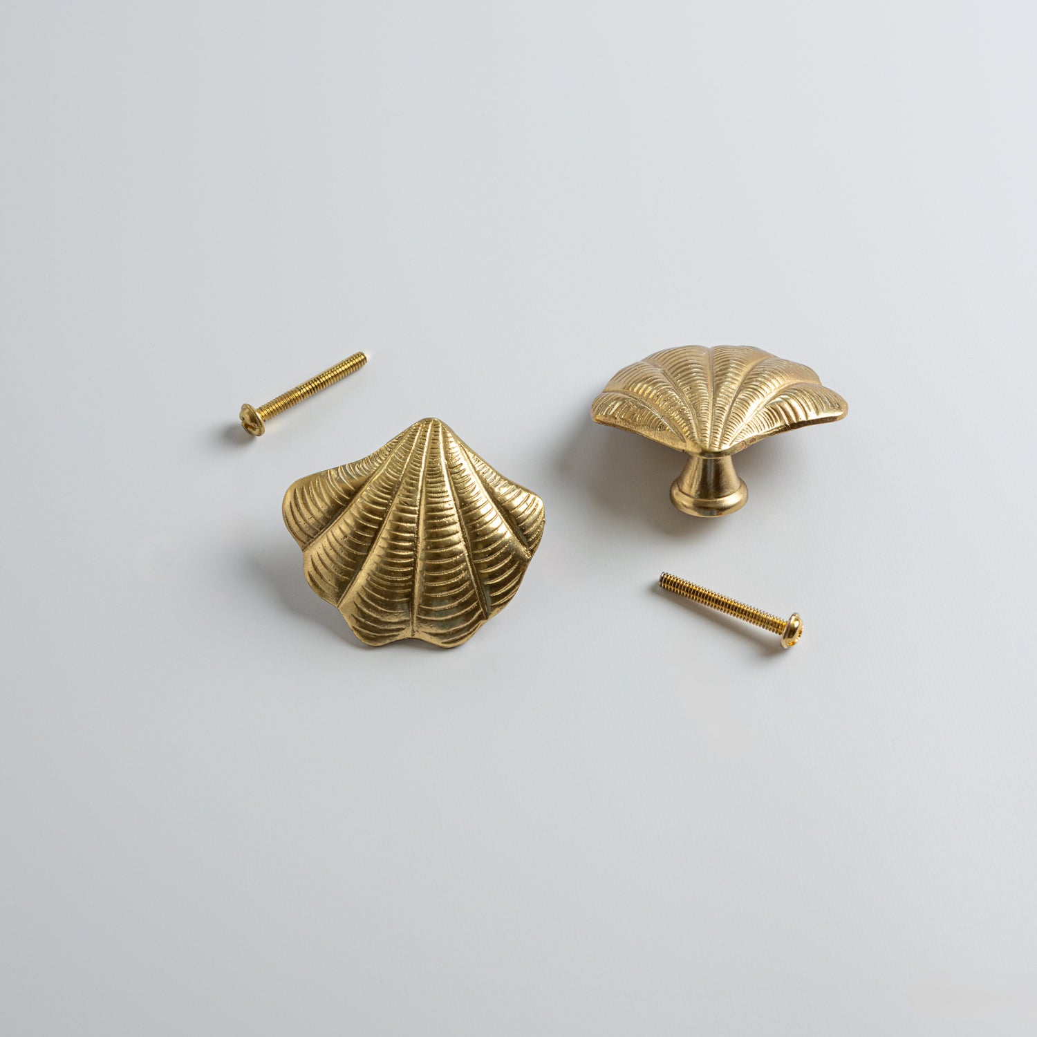 Curved-shell-knob-lacquered-brass
