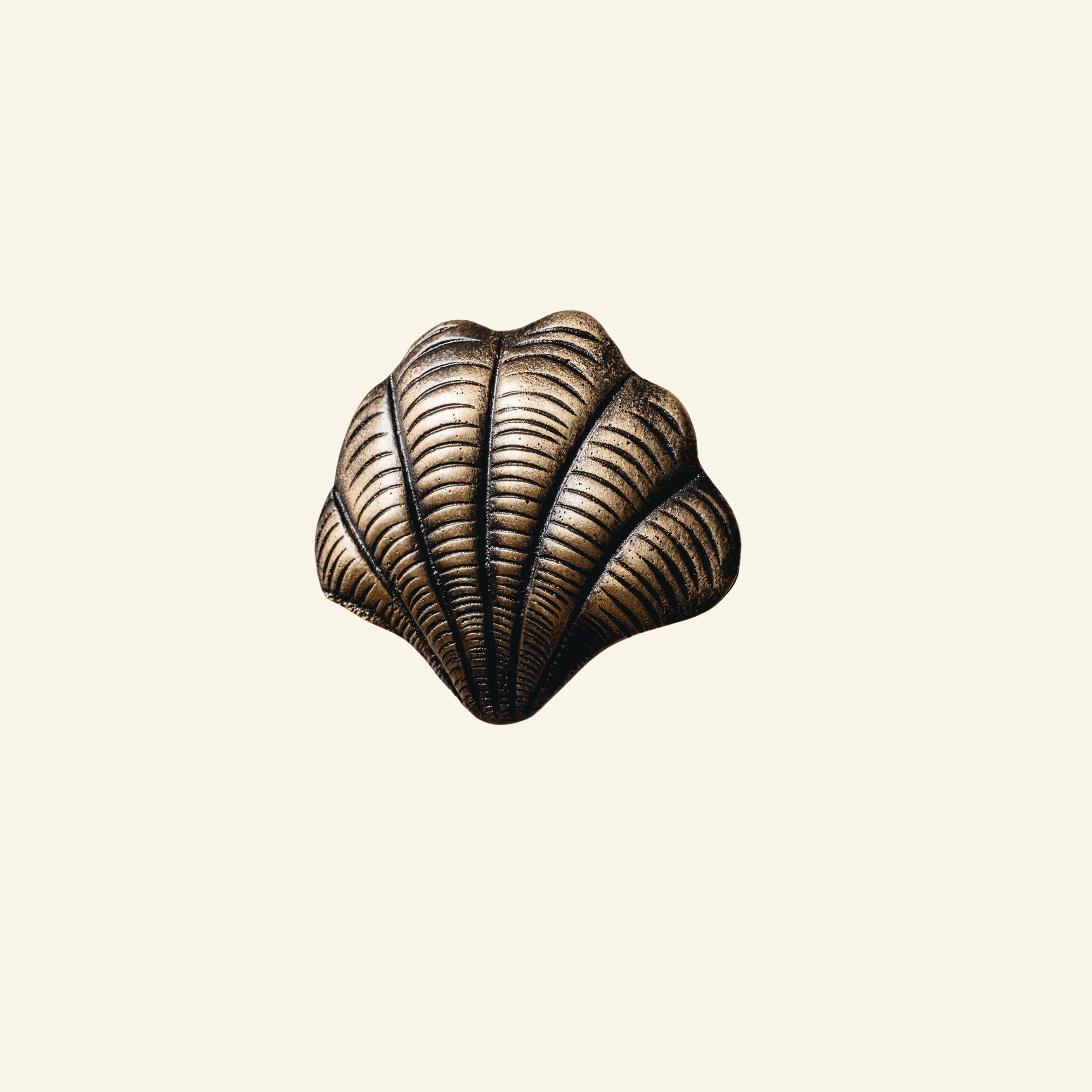 Brass shell Knob on a beige background