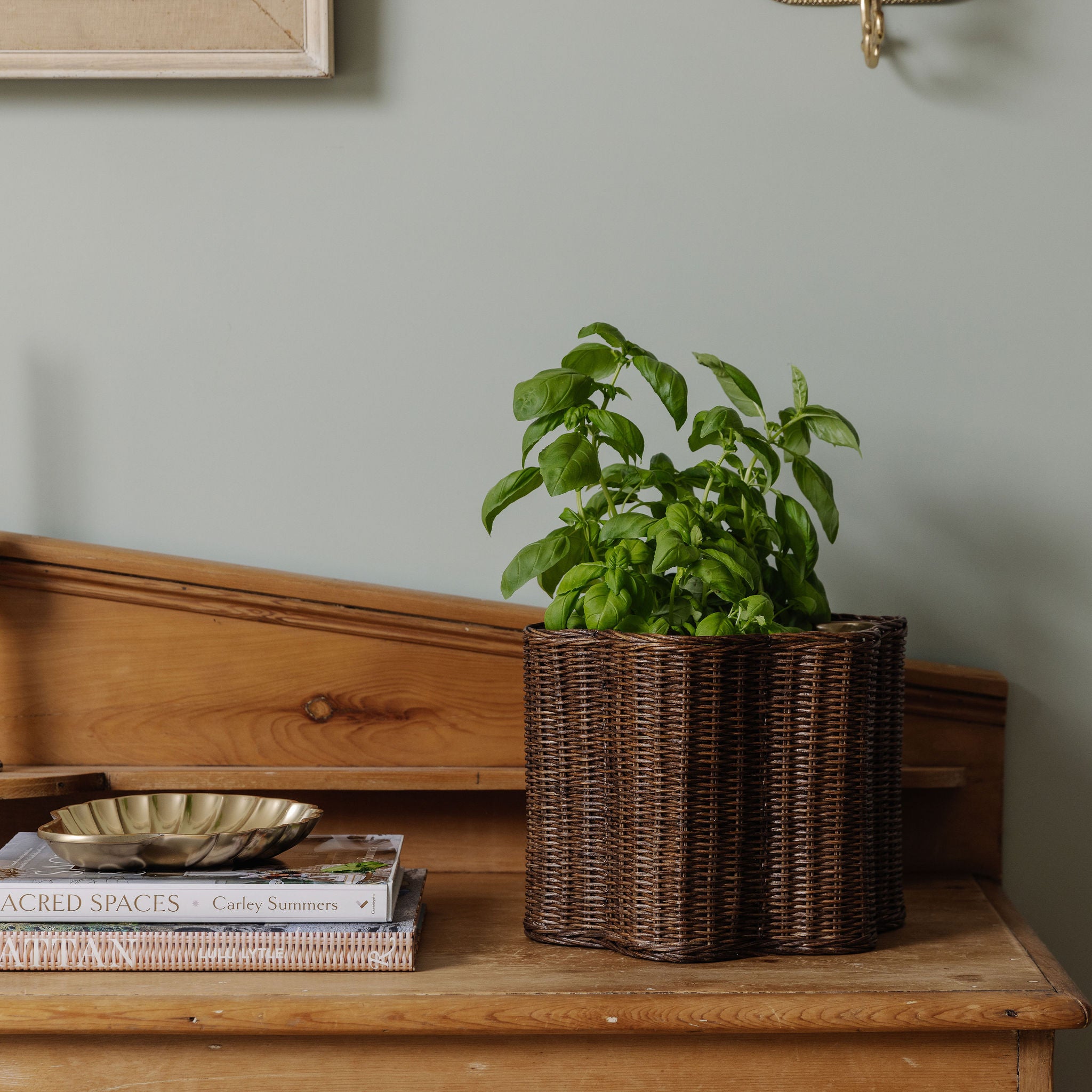 Poppy-Rattan-waste-paper-bin-as-a-planter