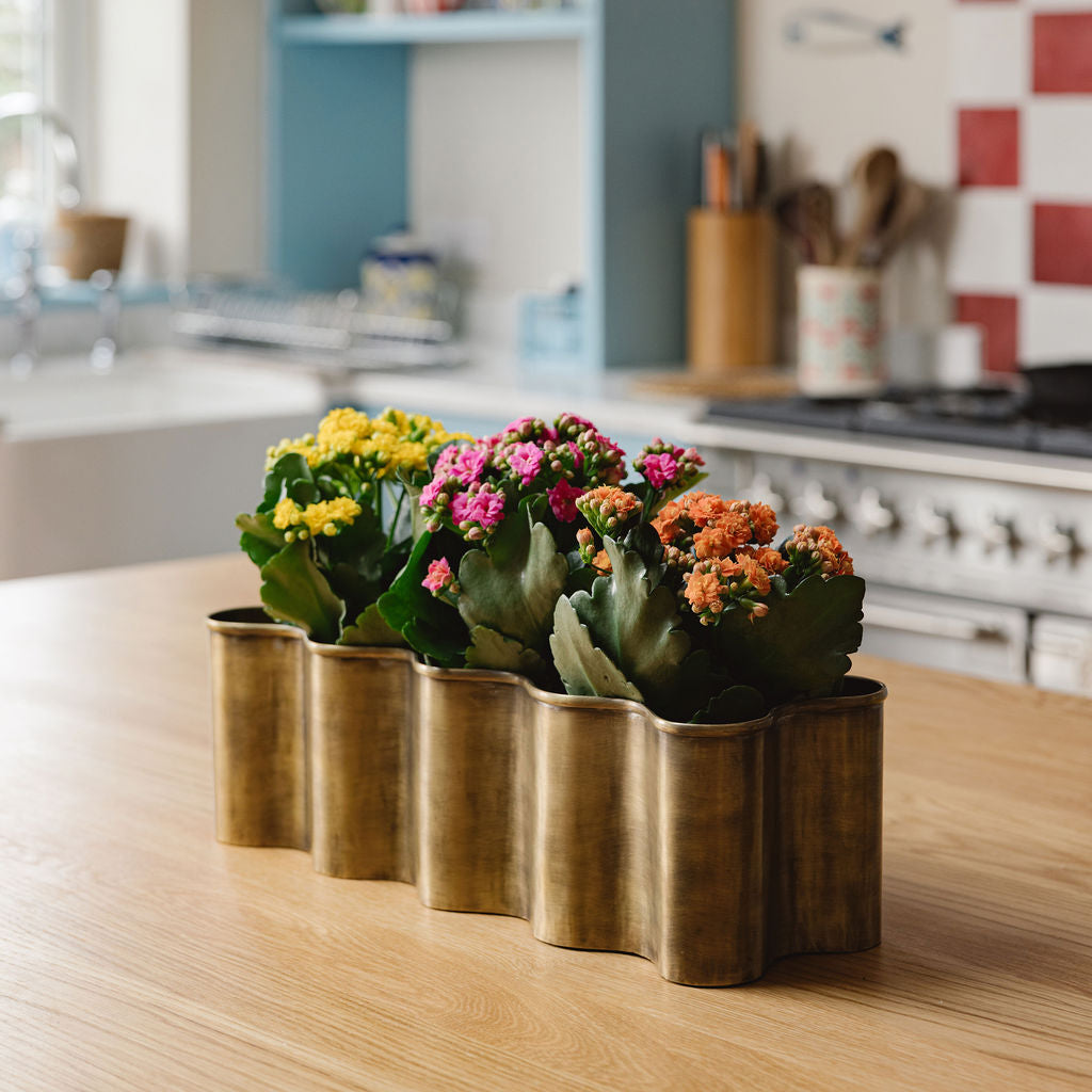 Poppy-brass-planter-basket-long-with-plants