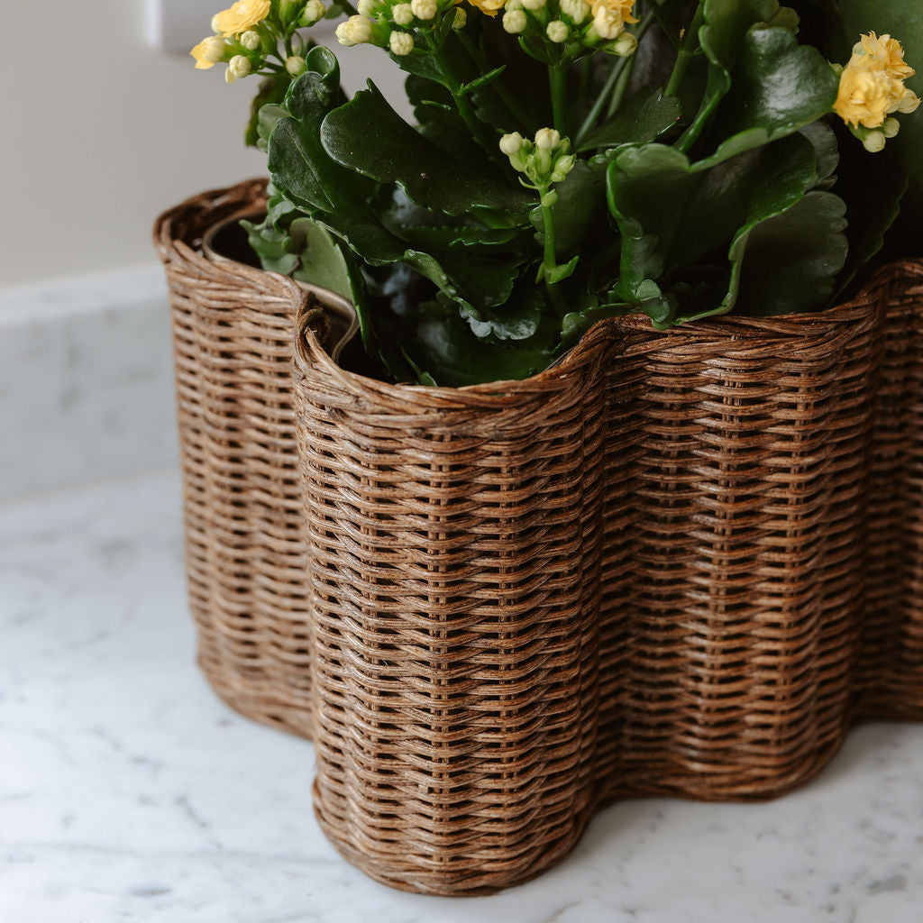 Poppy-rattan-brass-planter-basket-long-close-up