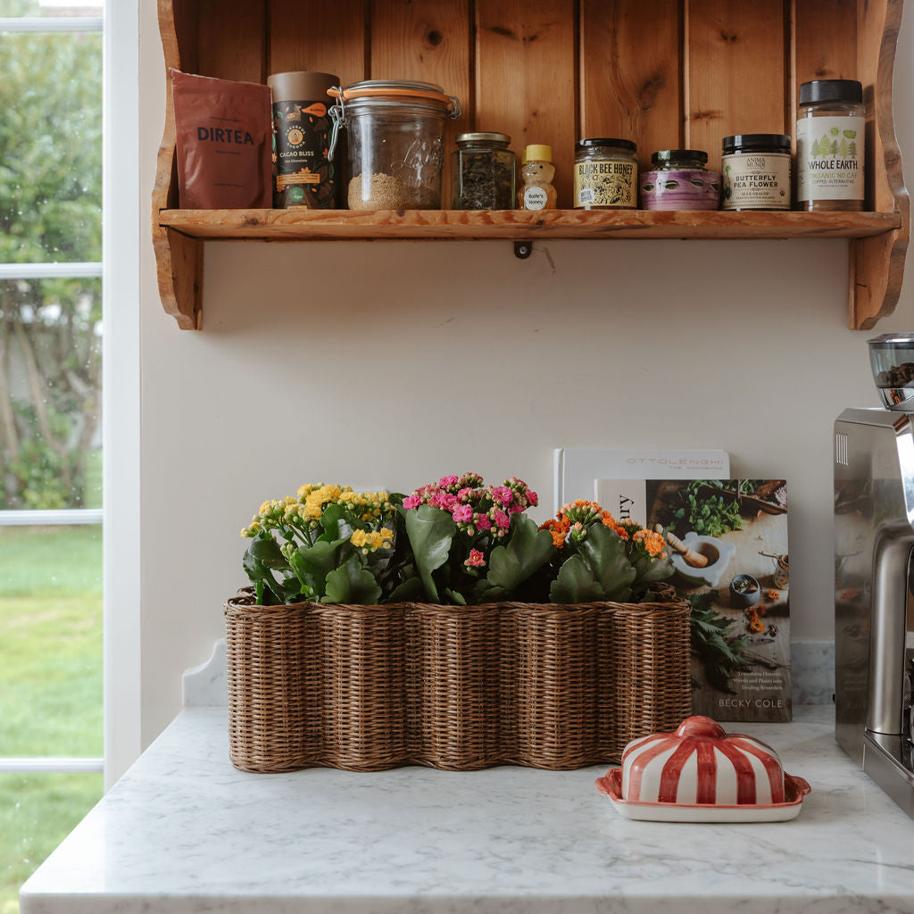 Poppy-rattan-planter-basket-long