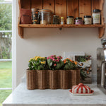 Poppy-rattan-planter-basket-long