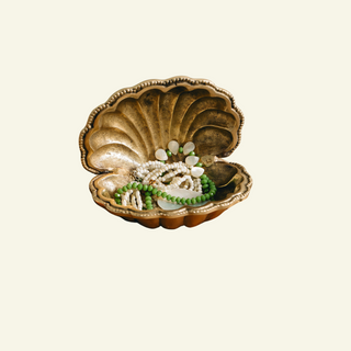 shell-trinket-dish-soap-holder-without-background
