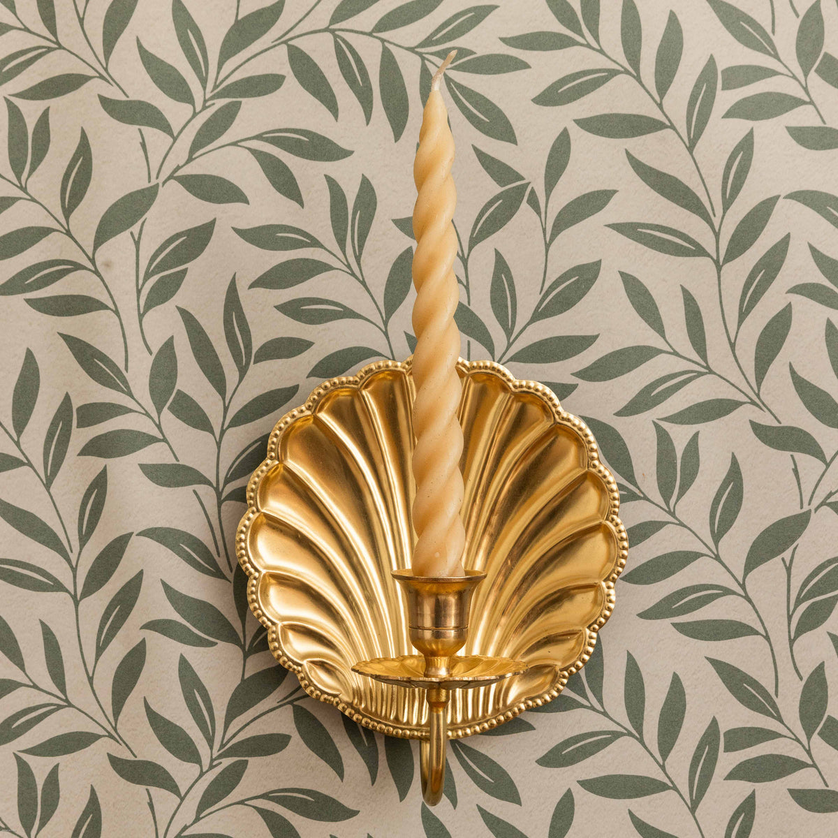 Brass Shell Wall Sconce (Single) | Candle Holders | Hastshilp.co.uk