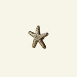 Starfish-knob-antique-brass