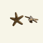Starfish-knob-antique-no-background