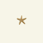 Starfish-knob-lacquered-brass