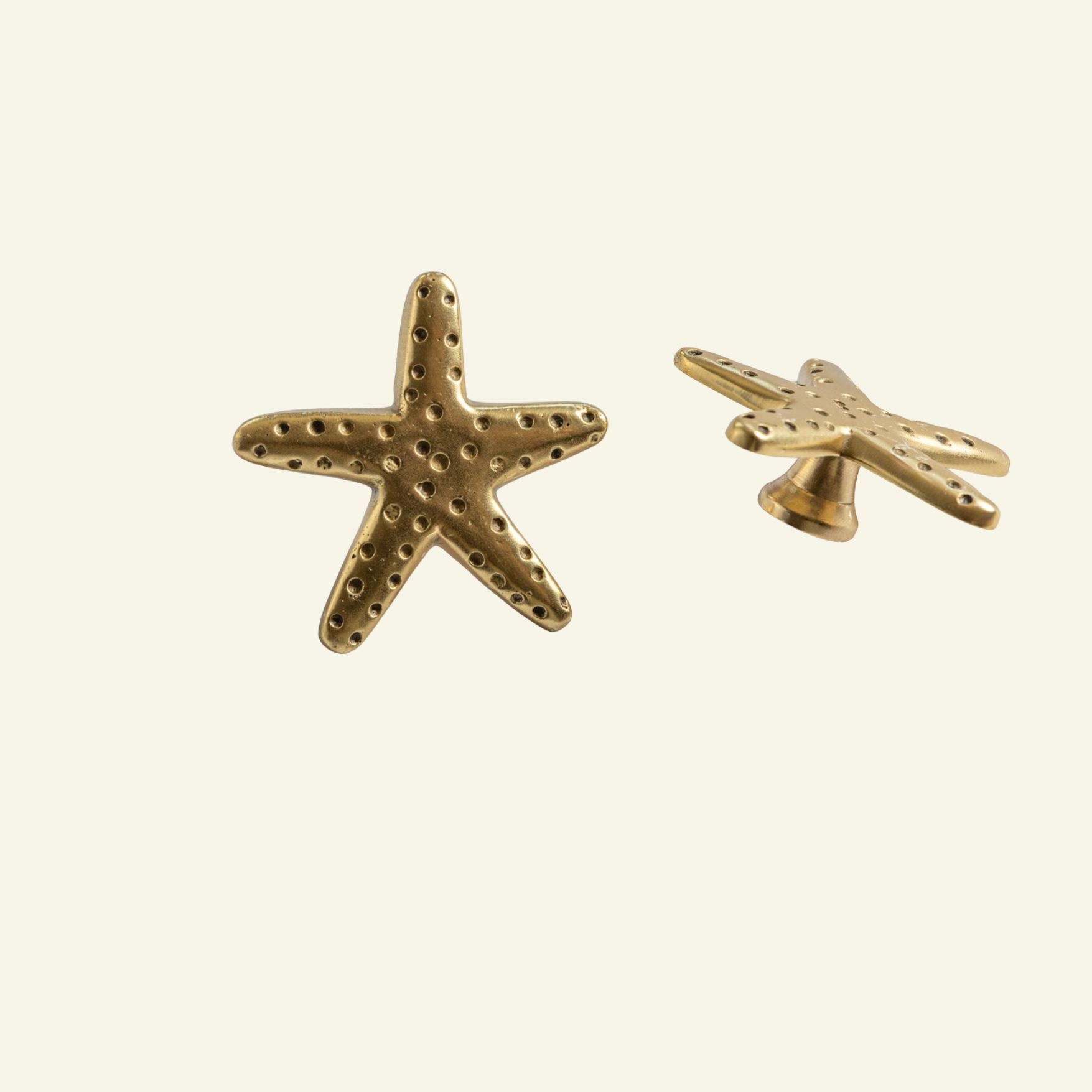 Starfish-knob-lacquered-no-background