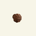 Willow Rattan Knob, Small Teak