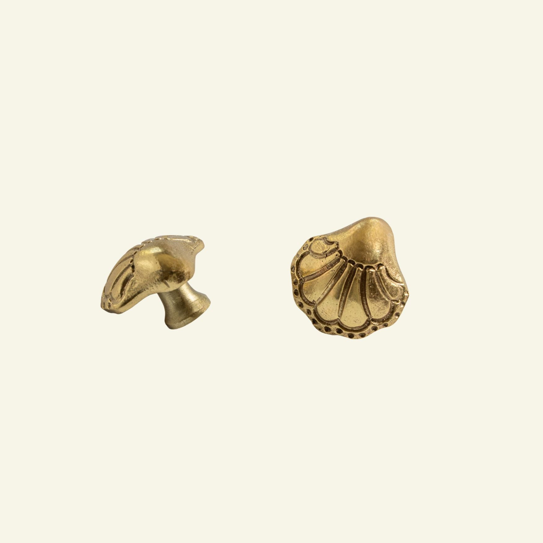 chunky-shell-knob-lacquered-brass-no-background