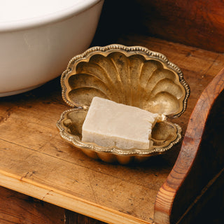 shell-trinket-dish-soap-holder-with-a-soap